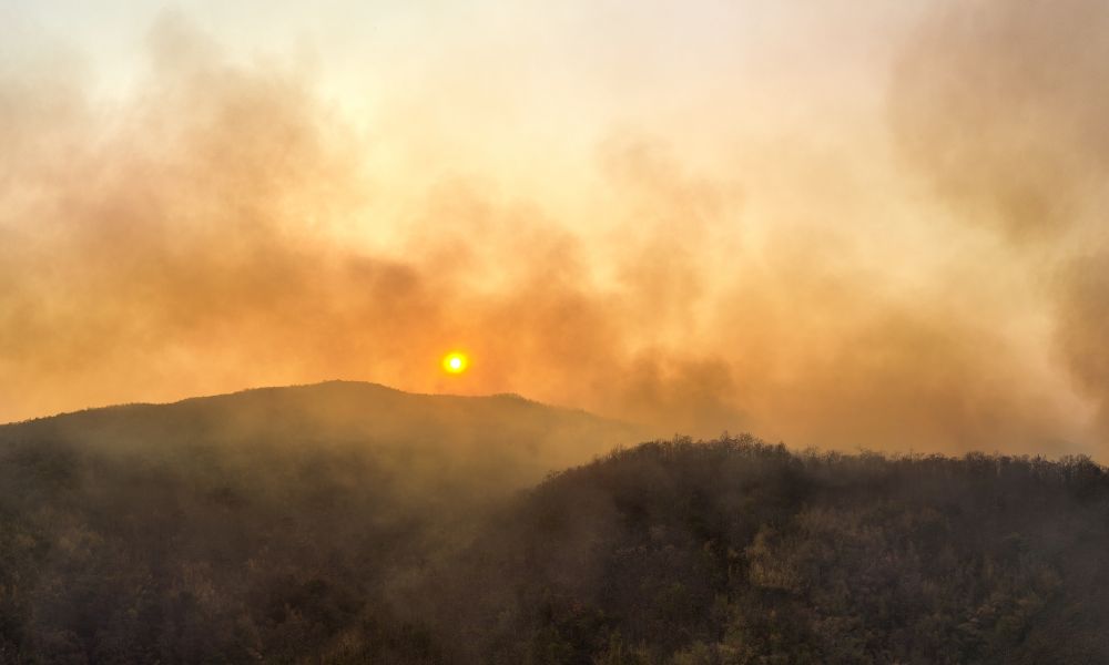 nube de co2 en las montañas con arboles y el atardecer