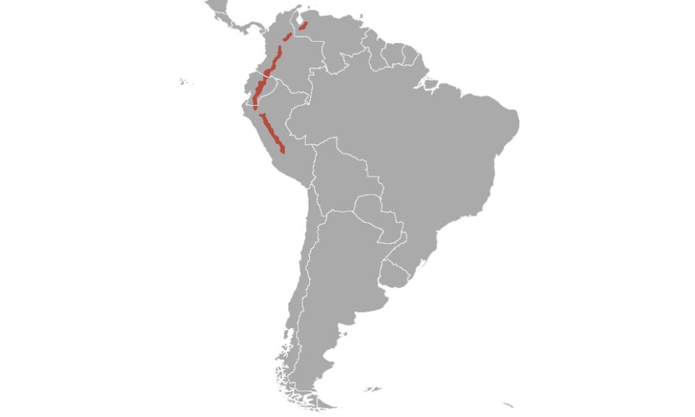 En rojo, las zonas de Sudamérica donde habita el pudu chico.