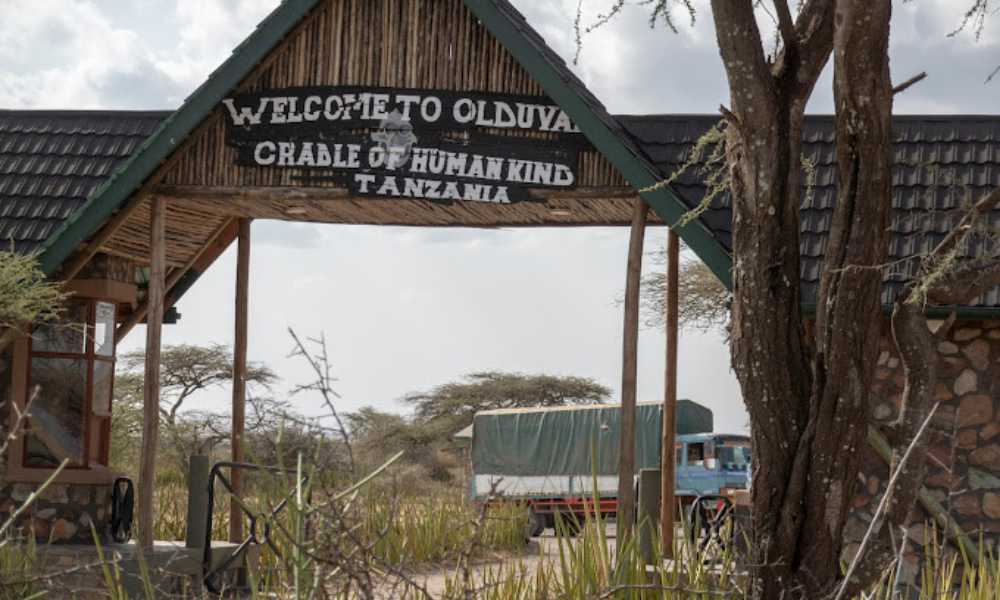 Habilidades arquitectónicas humanas - Restos hallados en la garganta de Olduvai