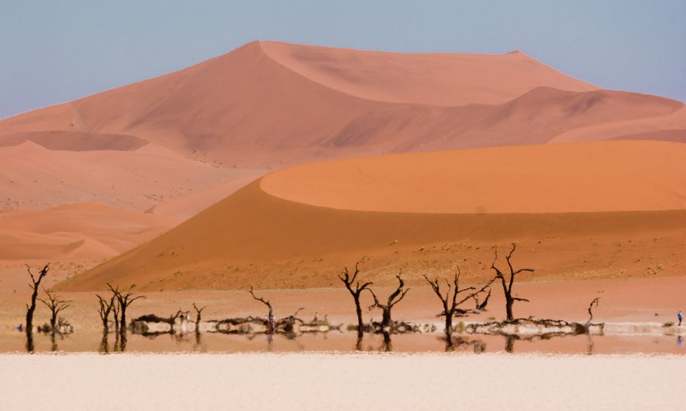 Deadvlei, el desierto de Namibia que tiene árboles milenarios