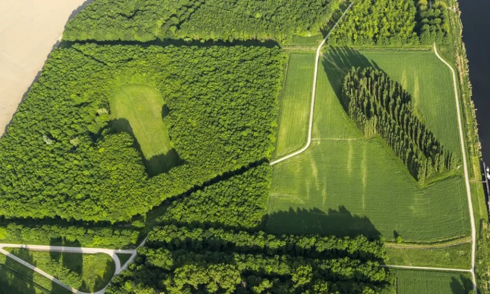 La Catedral Verde, un proyecto artístico en Países Bajos