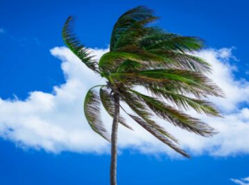 El viento, un fenómeno natural producto de la presión atmosférica