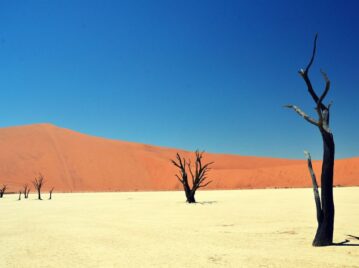 Deadvlei, el desierto de Namibia que tiene árboles milenarios