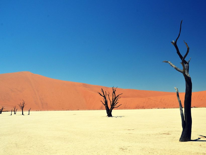 Deadvlei, el desierto de Namibia que tiene árboles milenarios