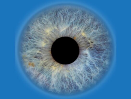 El daltonismo y la ciencia de los colores