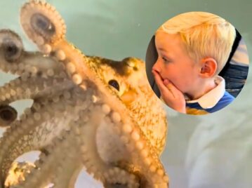 pulpo terrance y niño rubio sorprendido mascota