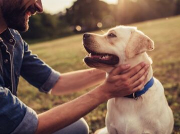 perros un perro labrador color beige y un humano jugando en la plaza