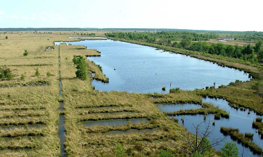 Paisaje de la provincia de Frisia, en Países Bajos. 