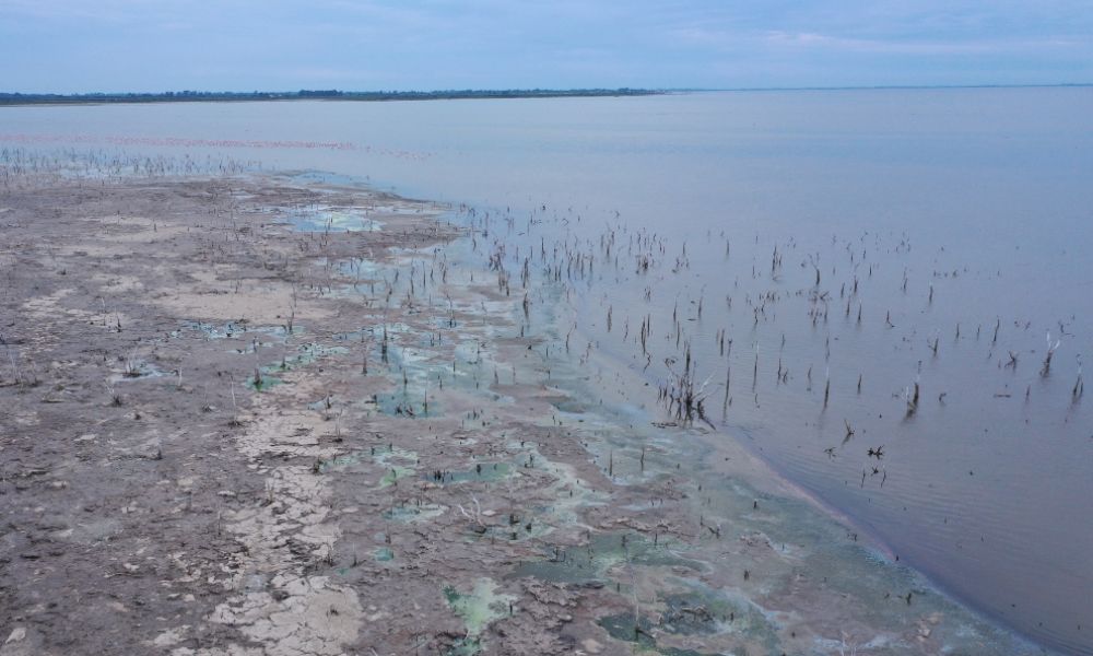 laguna de mar chiquita, provincia de córdoba