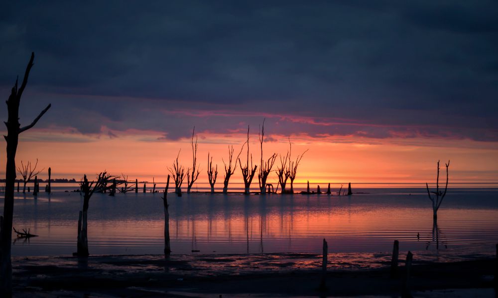 humedales al atardecer