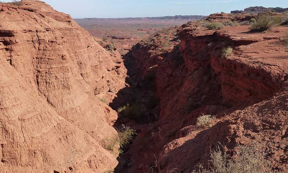 Huarpes, pueblo originario de Argentina, reclama tierras ancestrales