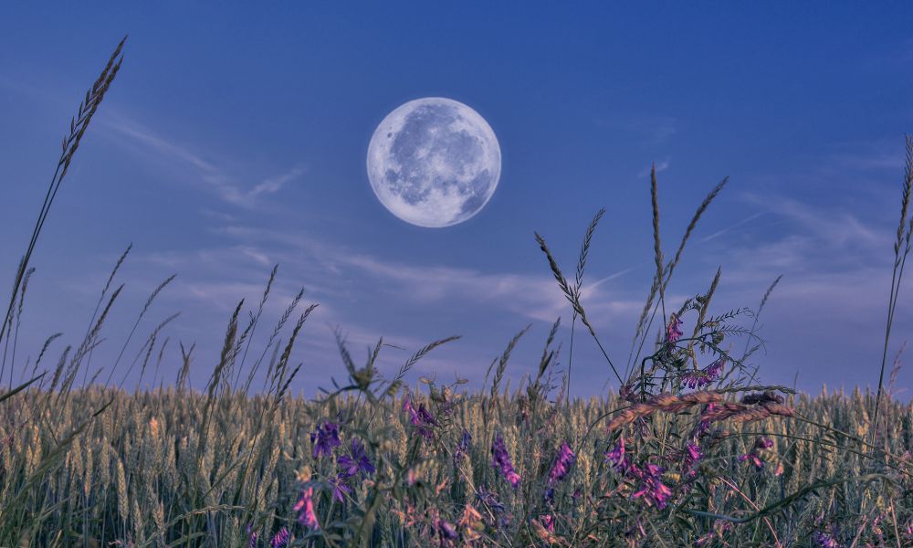 la Luna sobre el campo