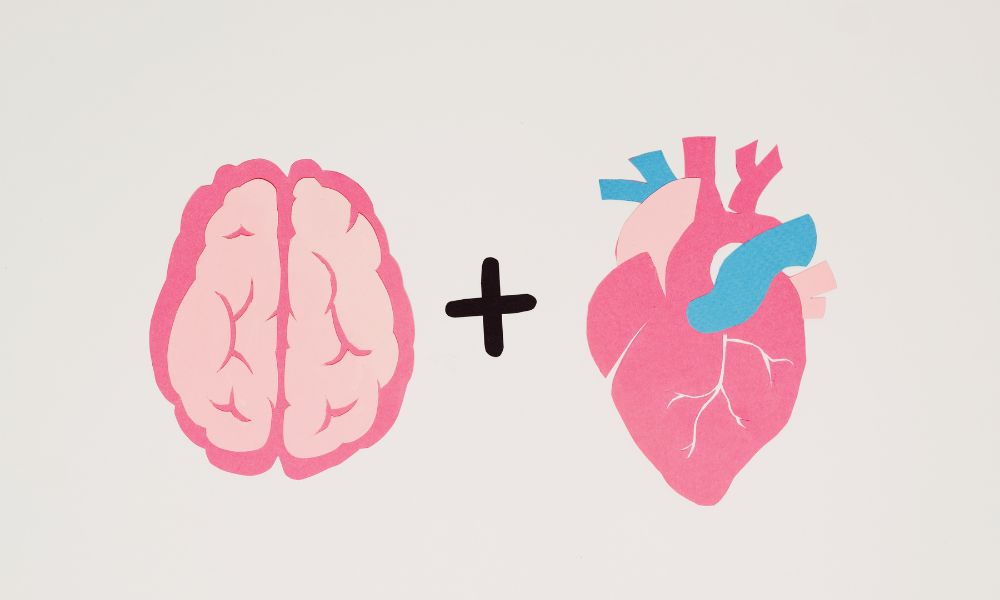 corazón más cerebro