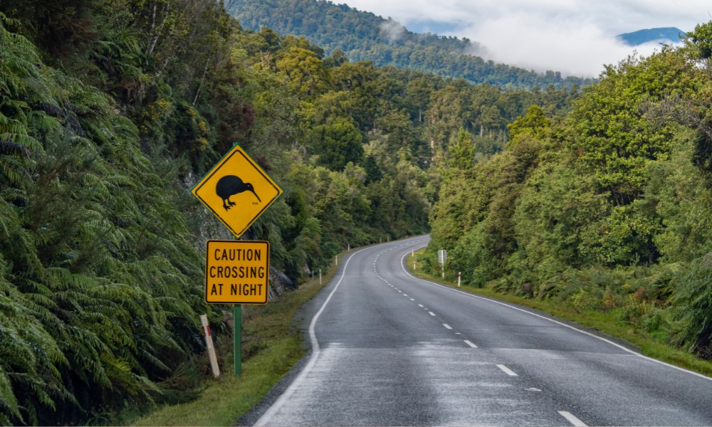 Autopista de Nueva Zelanda con un cartel de advertencia antes el cruce de kiwis (animal)