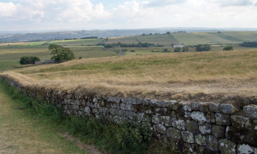 Naturaleza sobre el Muro de Adriano.