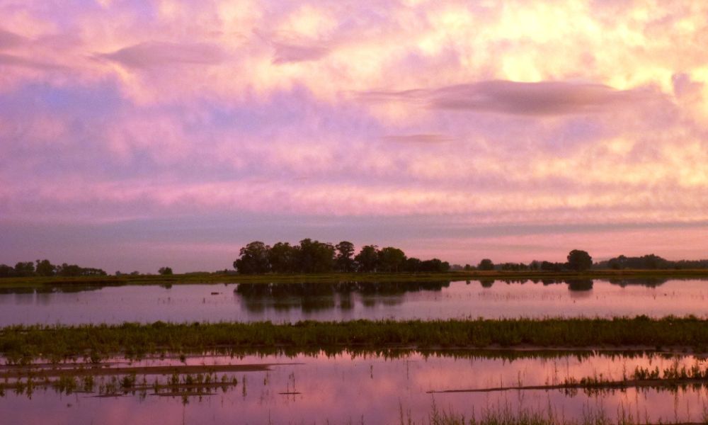 Paisaje de la Laguna Mulitas.