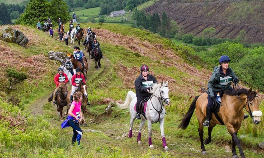 "Maratón Hombre vs. Caballo", la carrera que se corre desde 1981