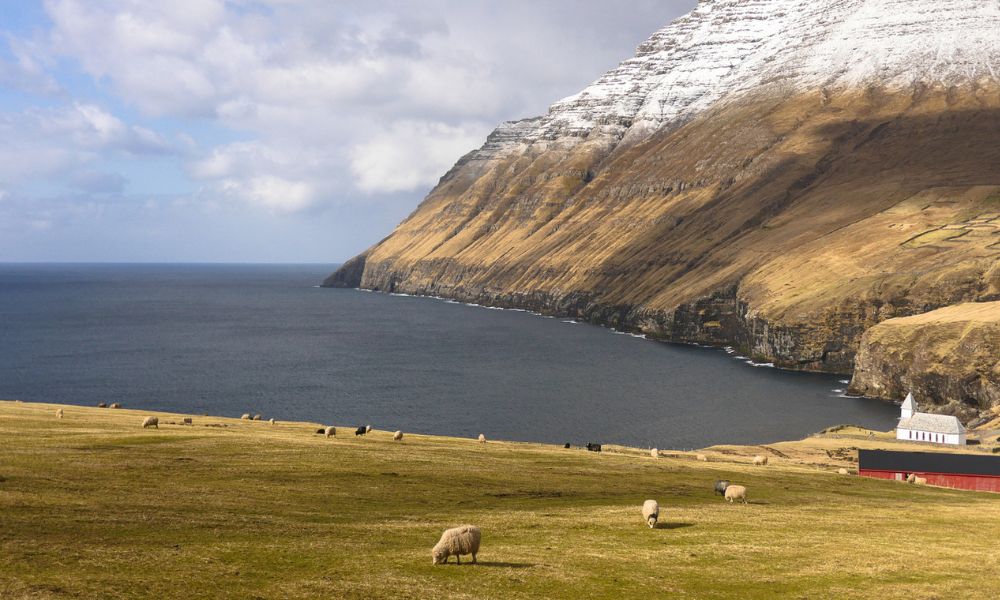 Islas Feroe, la nación que tiene más ovejas que habitantes