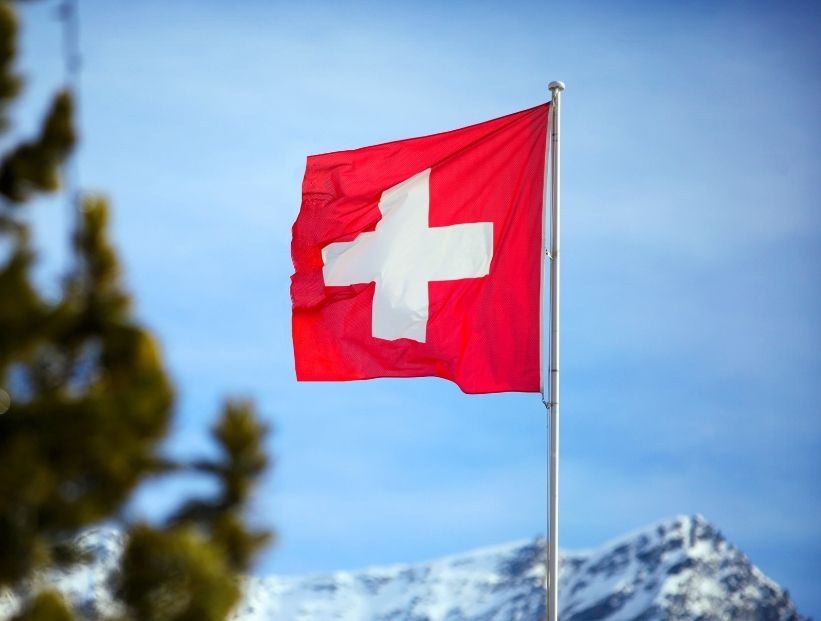 bandera de suiza flameando al lado de un pino con el cielo azul