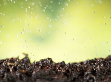 Petricor, el ingrediente secreto del olor a lluvia