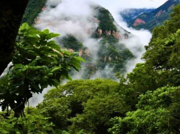 yungas selvas con nubes en jujuy jujeña norte de argentina