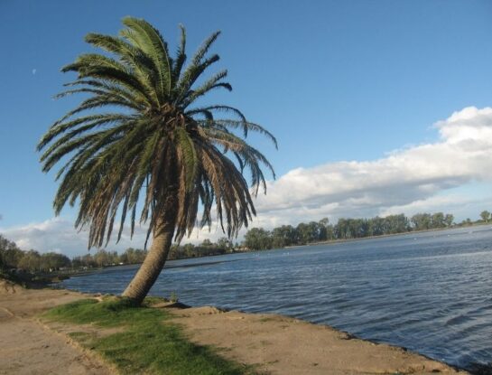 Mulitas: una pintoresca laguna que se encuentra en el corazón de la provincia de Buenos Aires