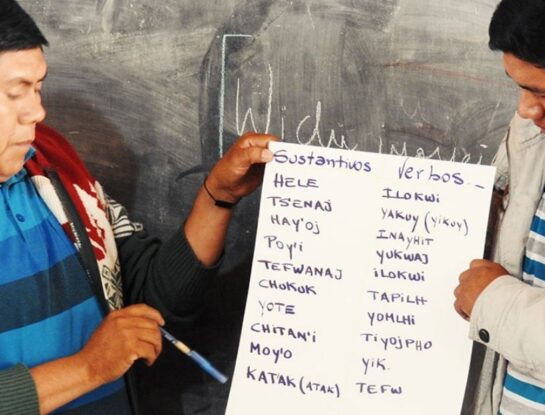 ¿Sabías que Chaco tiene tres idiomas oficiales además del español?