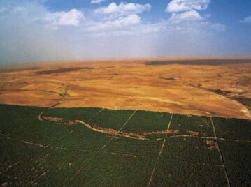 Gran Muralla Verde, en África