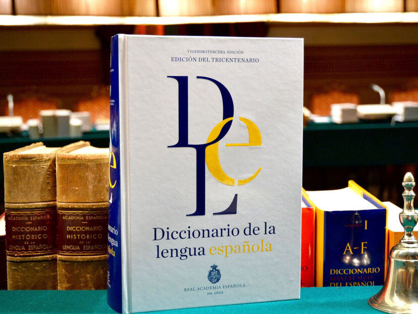 ¿Qué diferencia hay entre el castellano y el español?