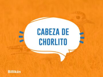 "Cabeza de chorlito" origen y significado de la frase