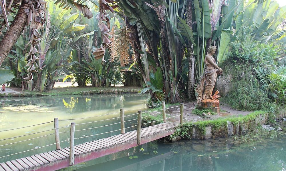 Senderos del Jardín botánico de Río de Janeiro.