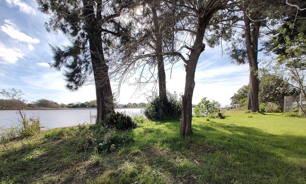 Naturaleza de la isla Paulino. 