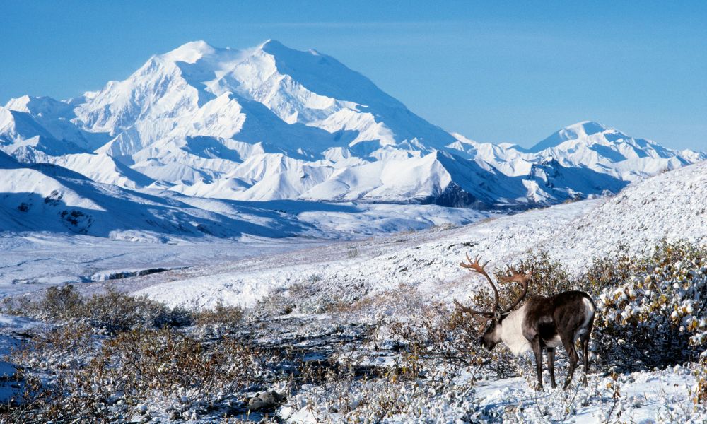 Alaska, el estado más grande de Estados Unidos