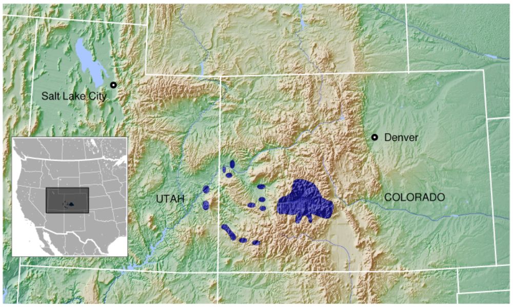 Zona donde habita el urogallo de Gunnison.