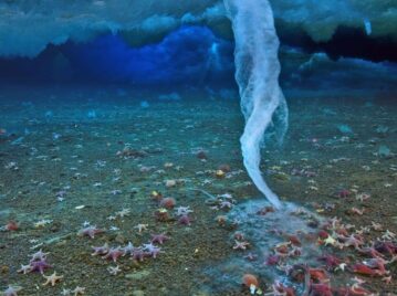 "Dedo de la muerte", la columna de hielo que congela todo lo que toca en el mar antártico