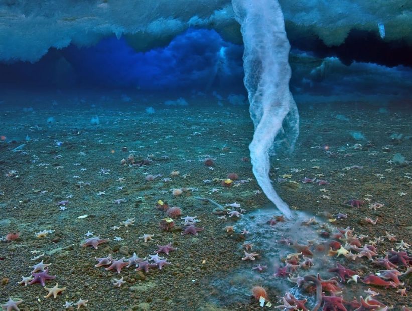 "Dedo de la muerte", la columna de hielo que congela todo lo que toca en el mar antártico