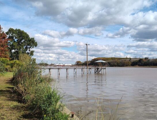 Paulino, la pequeña isla de Buenos Aires que tiene playas sobre el Río de la Plata