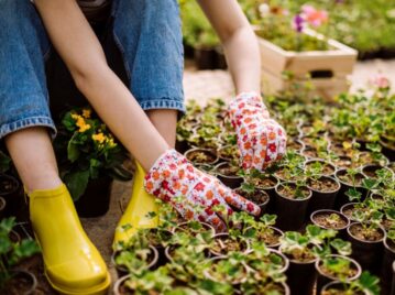 Qué es la horticultura