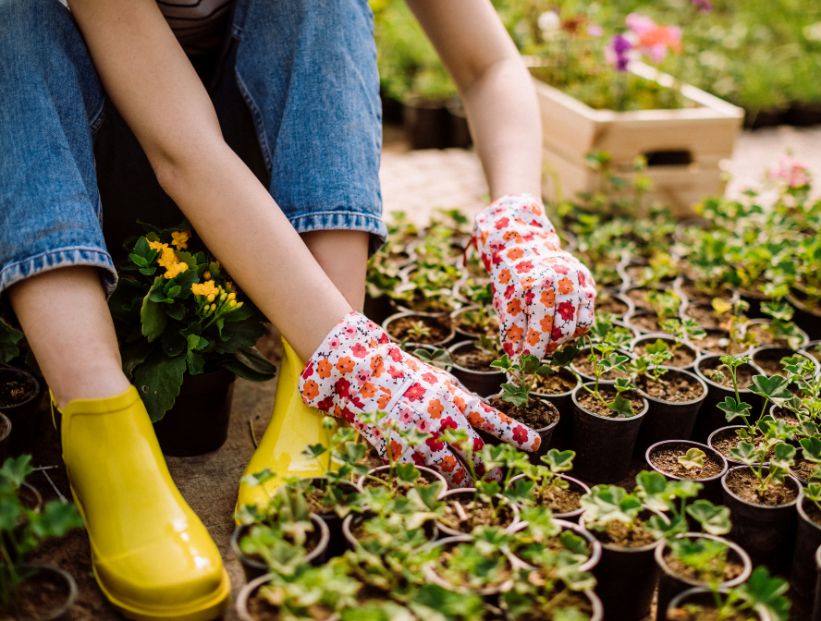 Qué es la horticultura