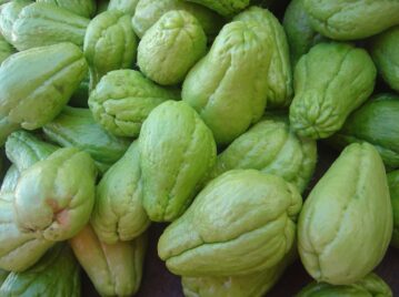 chayote