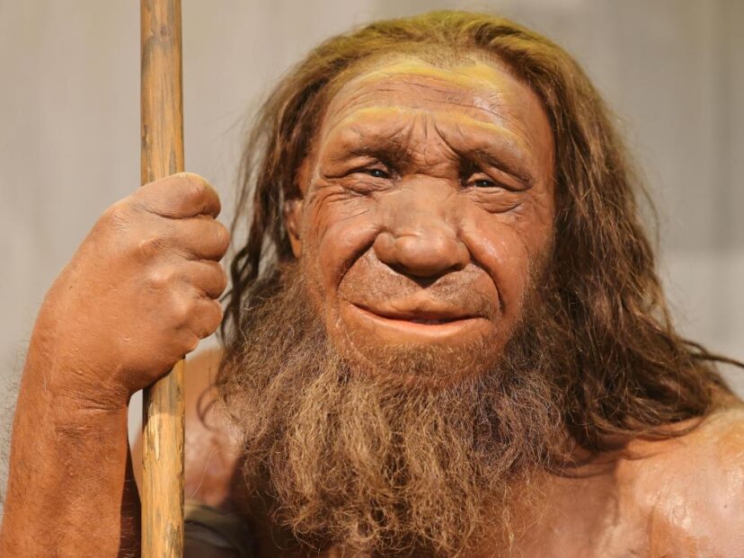 Los neandertales no desaparecieron: un nuevo enfoque científico plantea que aun "viven"