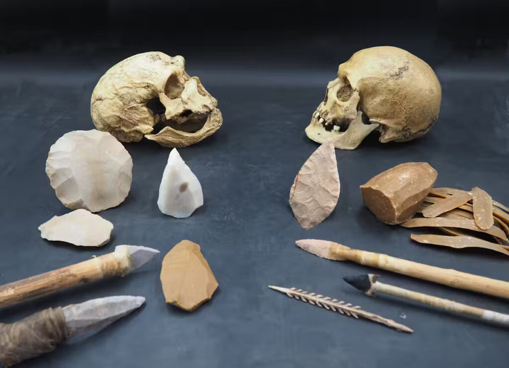 Los neandertales no desaparecieron: la ciencia tiene un nuevo enfoque sobre su extinción y plantea que aun "viven"