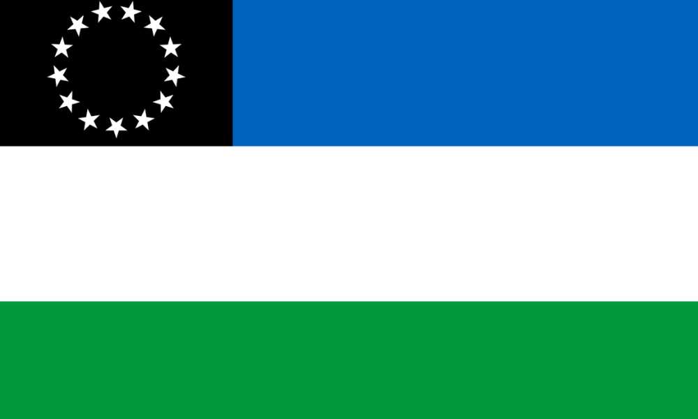 Bandera de Río Negro