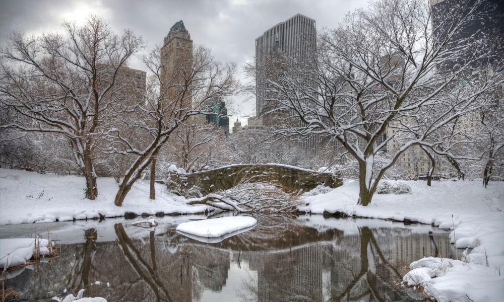 invierno en ciudad nueva york edificios