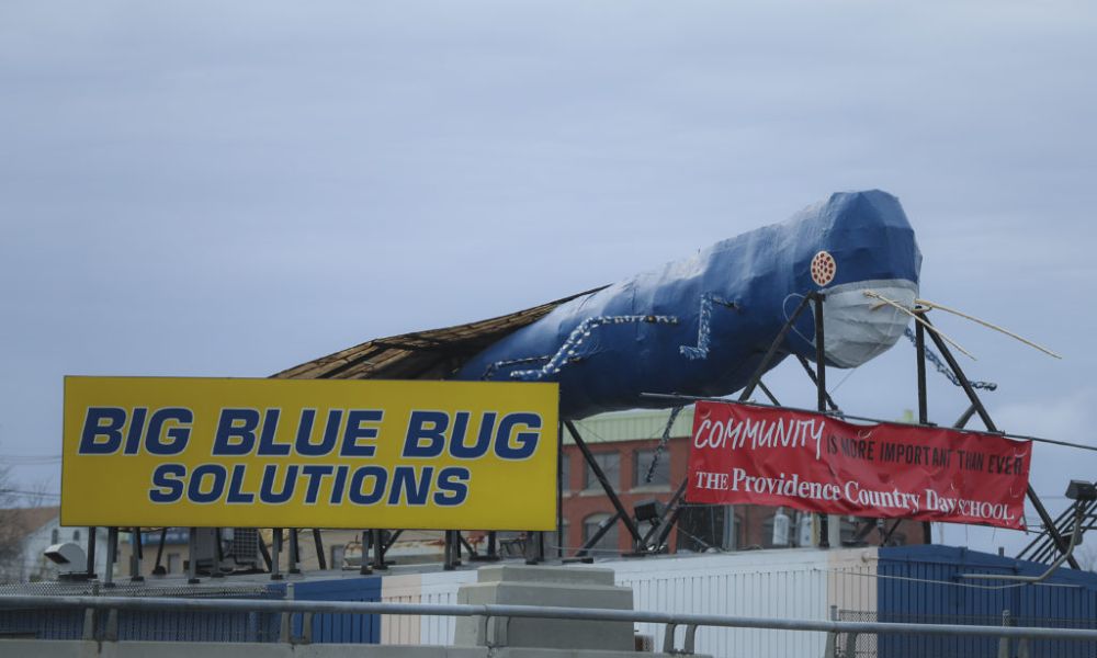 Big Blue Bug durante la pandemia por COVID 19