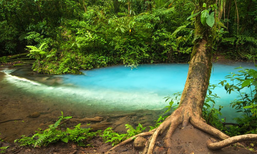 Por qué el río Celeste de Costa Rica tiene ese color