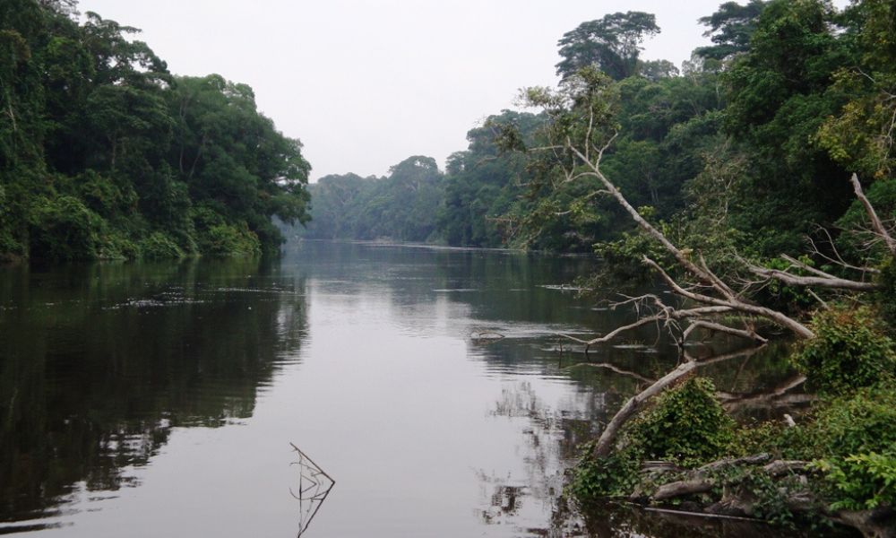 Paisajes del segundo bosque tropical más grande del mundo.