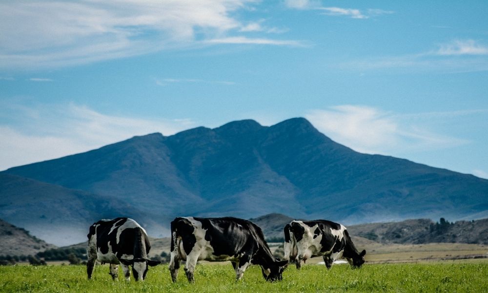 sierra de la ventana, argentina