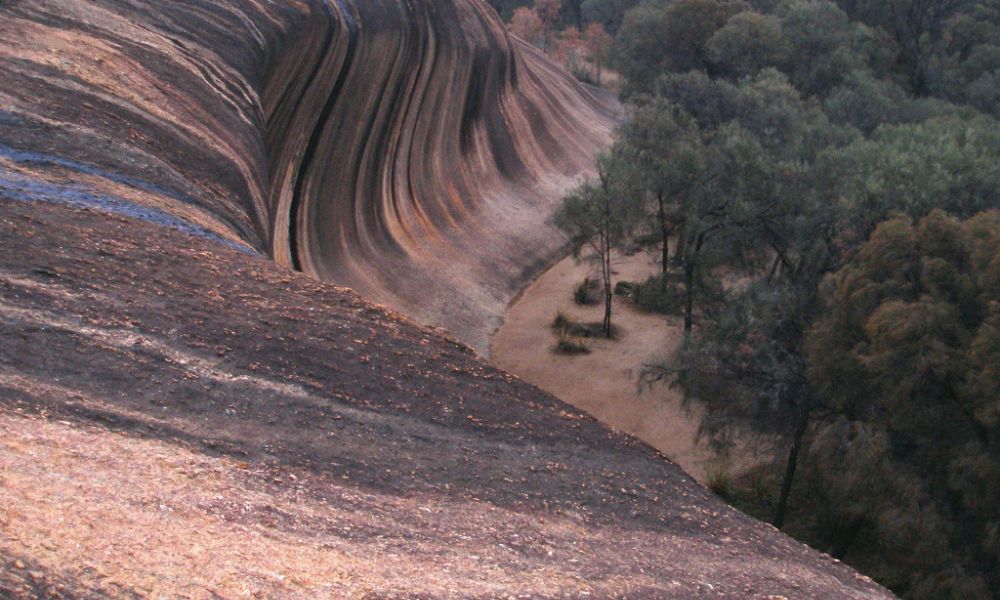 Naturaleza que rodea Wave Rock.