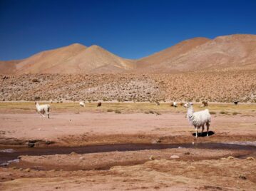 Desierto de Atacama, el desierto más seco del mundo